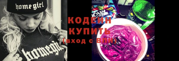 гидра Билибино