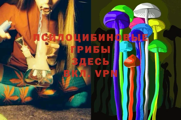 крисы Новодвинск