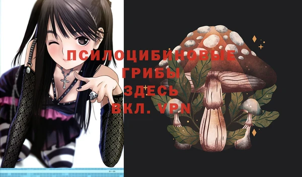 альфа пвп Нязепетровск
