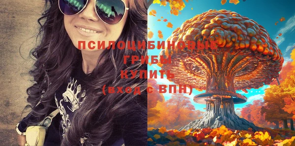 СК Новокубанск