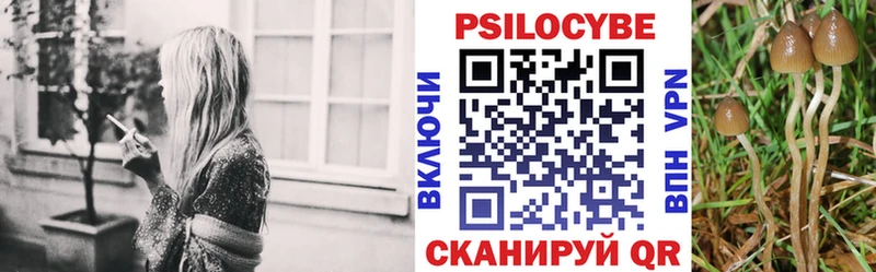 Псилоцибиновые грибы прущие грибы  Мосальск 